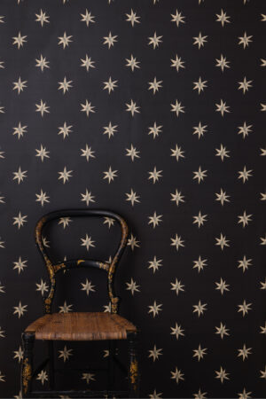 Ink Star Wallpaper Sample – Black (Large) Ink Star Wallpaper Sample - Black (Large)